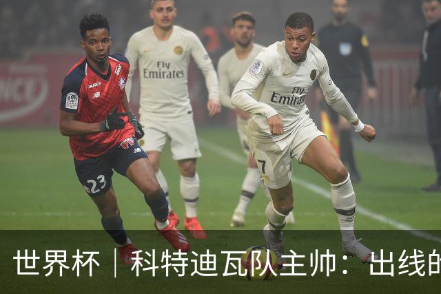 世界杯｜科特迪瓦队主帅：出线的关键在于团队成长